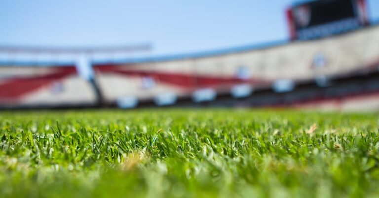 Play Soccer Like A Pro – Techniques To Up Your Game